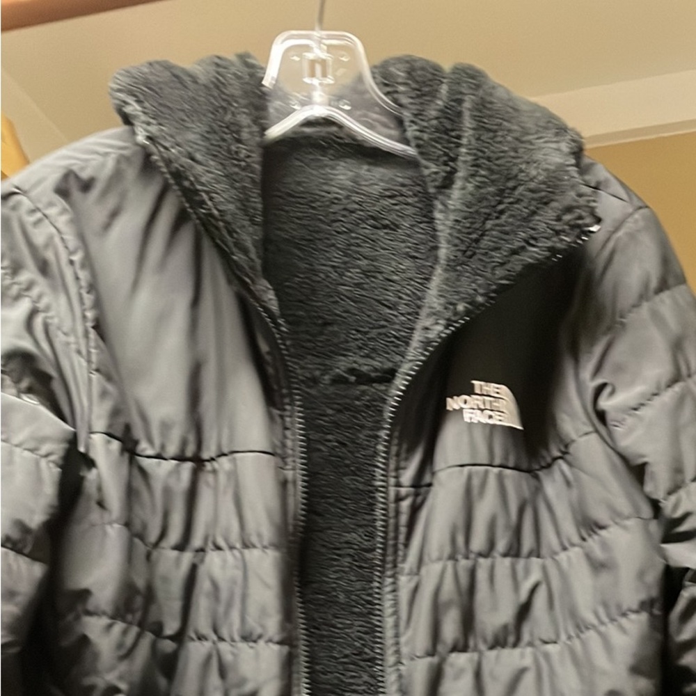 The Northface Moss bud Parka